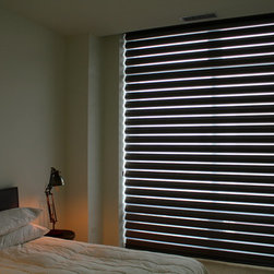 Hunter Douglas Pirouettes - Chicago - Window Treatments