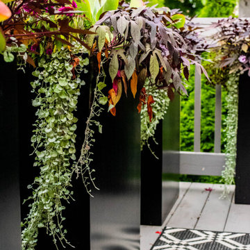 Modern Andersonville Oasis
