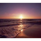 Mike Rosss foto