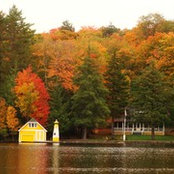 Tom Merkel's photo
