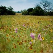 Vivienne Nolan's photo