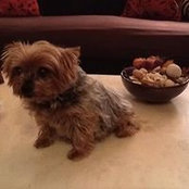 Tinkerbelle Almeyda's photo