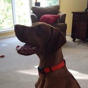 Susan Griffo's photo