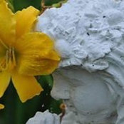 Debb Tubb's photo