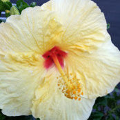 Joan Crete's photo