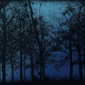 Robert Raimons foto