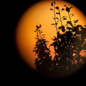 Pasc Andreea Bianca's photo
