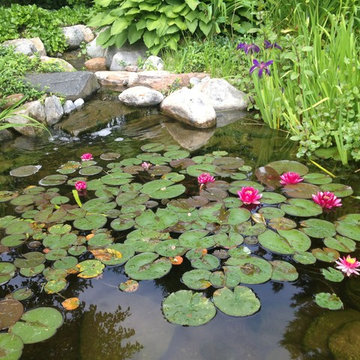 A man-made animal sanctuary in your own backyard