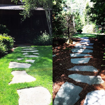 Irregular Bluestone Stepping Stones