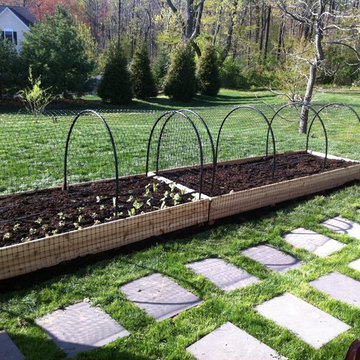 Vegetable Gardens