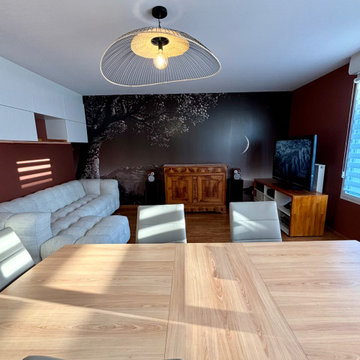 Projet Agde