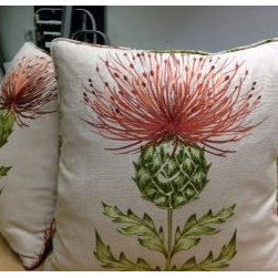 Cushions and Accessories - Home Accessories & Decor
