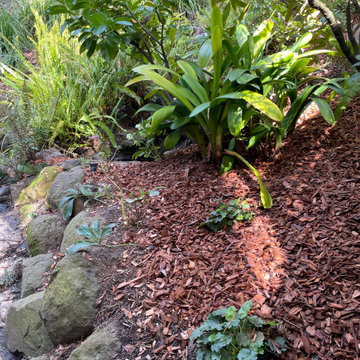 Berkeley Hills Redwood Garden