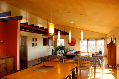 Living room - modern living room idea in Minneapolis