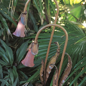 Escort Lighting Buds