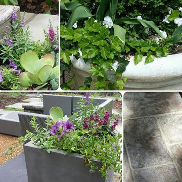 Landscape Projects