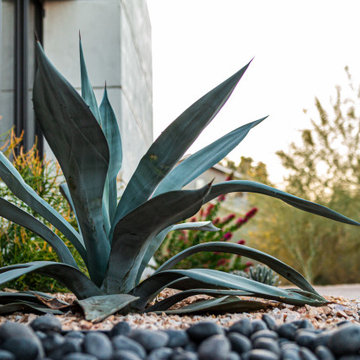 Paradise Pool and Outdoor Living Landscape on Paradise Valley
