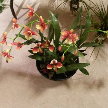 In store pre-designed Arrangements at Accent Silk 15315 Midway Rd. Addison Texas