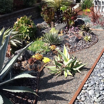 Succulents inspired by Asian Design
