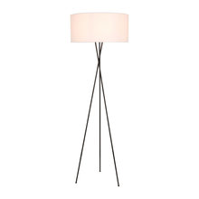 Lamps
