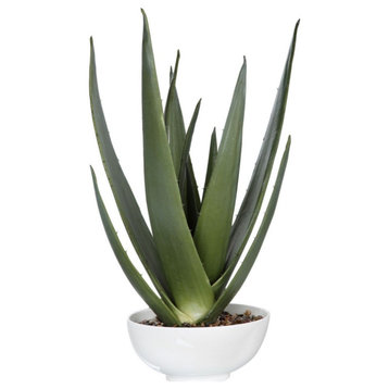 Burnsdale - 30 inch Aloe Planter - Decor - Planters - 208-BEL-4190642 - Bailey