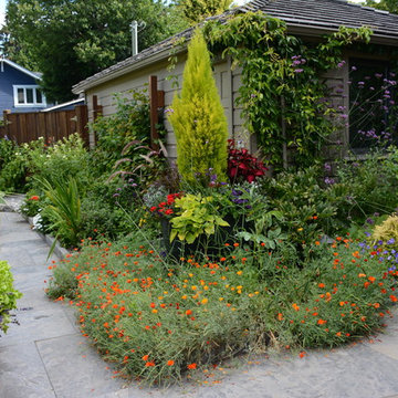 Raised Vegetable Bed / Ornamental Garden 2016