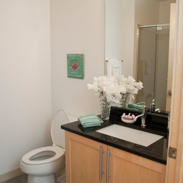 Duluth Condo