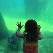 Michael McDermott's photo