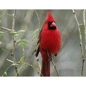 Beulah Hensley's photo