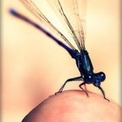 Amanda Conley's photo