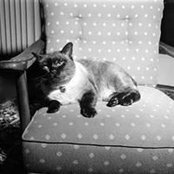 Nat Buakaew's photo