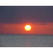 Martha Trier's photo
