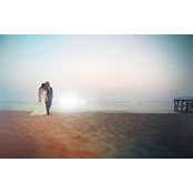 Amy Lee's photo