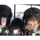 Melissa Carlson-Ketchum's photo