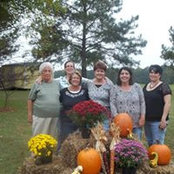 Donna Daniel's photo
