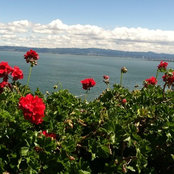 arosio's photo