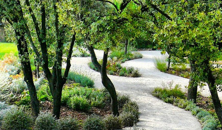 Consejos para tener un jardín perfecto (sobre todo en verano)