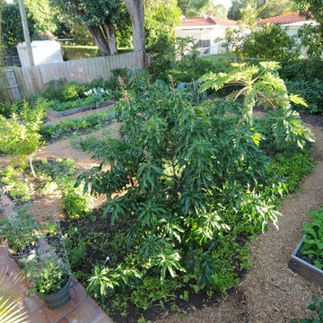 Raised Bed Garden