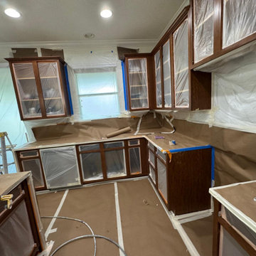 Professional painting. Clean finish. Real results.