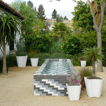 Transitional Mediterranean