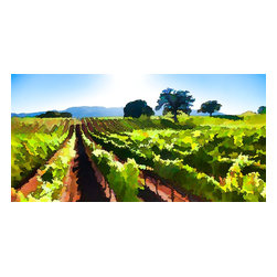 Douglas Page Photographic Arts - Vineyard Oaks, Giclee On Canvas, 32"x16" - Prints And Posters