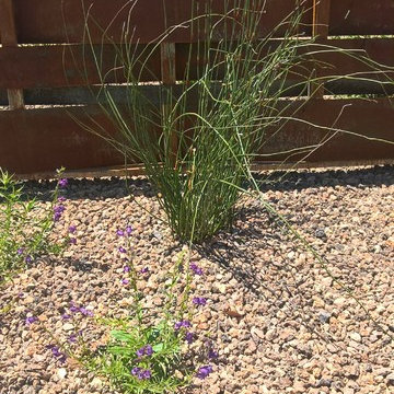 Edible Garden with Whimsy - Lawn removal project