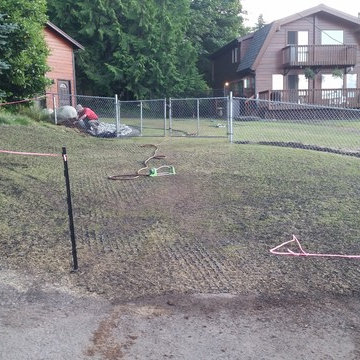 Driveable Grass for Permeable Driveway