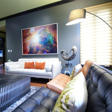 Contemporary Condo Renovation