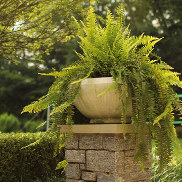 Westport, CT Landscape Maintenance