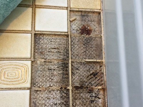 Rotten Wood And Mold Under Bathroom Floor Tile - Replacing Bathroom Floor Rotted In Kitchen Sink How To Clean