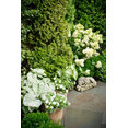 Mary Kirk Menefee, Landscape Designer's profile photo