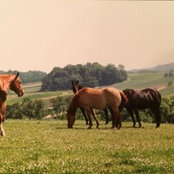 ajm27s foto