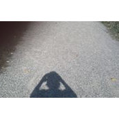 Sareena Granger's photo