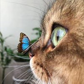 Aliaa Essam's photo
